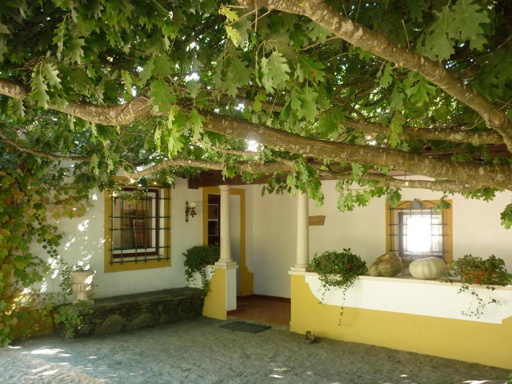 Quinta Do Troviscal Villa Кастело до Боди Екстериор снимка
