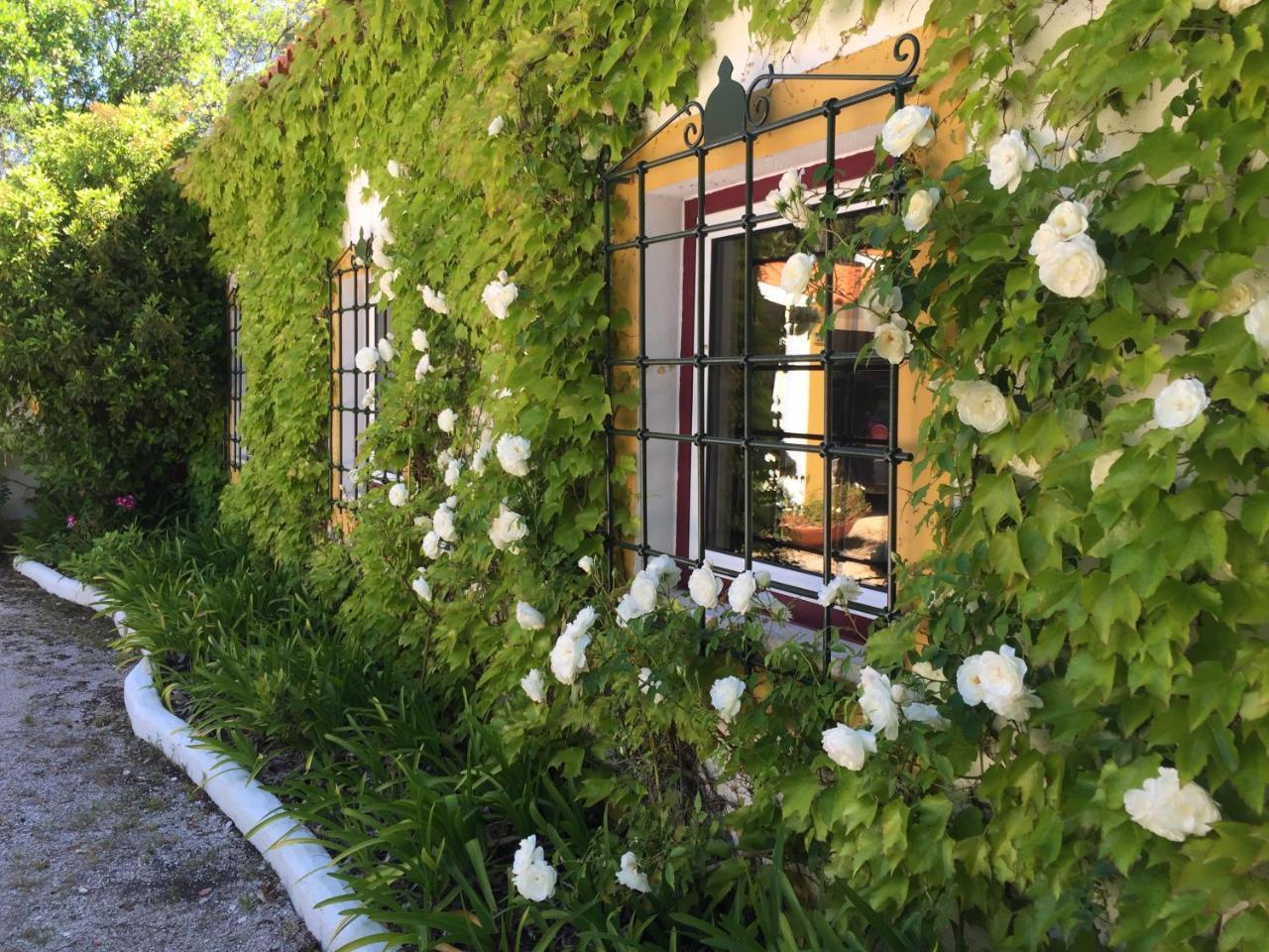 Quinta Do Troviscal Villa Кастело до Боди Екстериор снимка